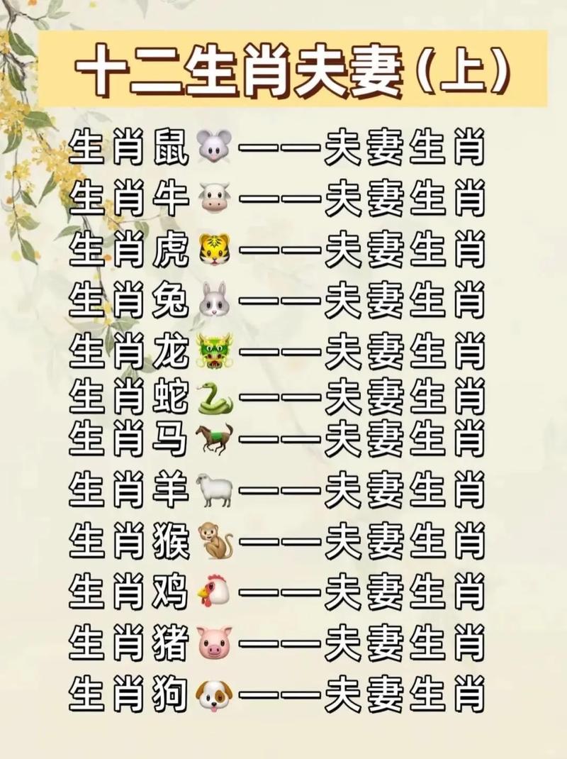 生肖老鼠和什么生肖最配,生肖老鼠和什么生肖最配对
