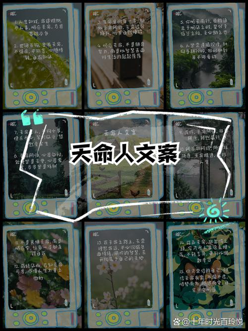 顺应天命打一生肖最佳答案是什么的简单介绍