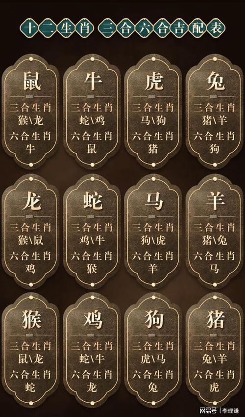 四六开二取五中什么意思,四六开二取五中是什么生肖