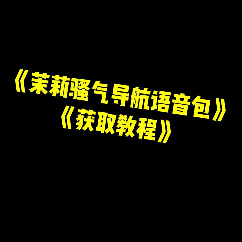 飞机怎么安装中文语言包,飞机怎么安装中文语言包视频