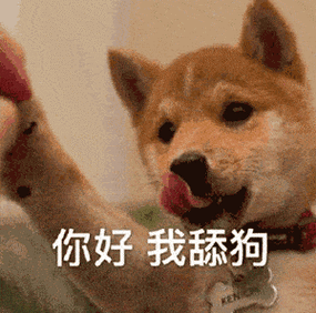 舔狗动画合集,舔狗动图表情包