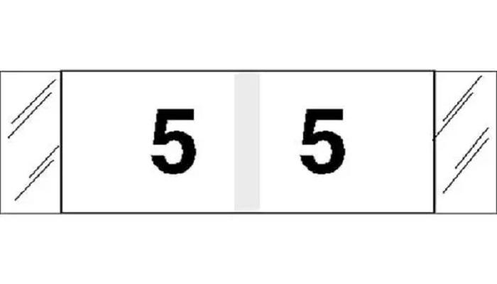 一清二白打一个数字几,一清二白的白猜一个数字