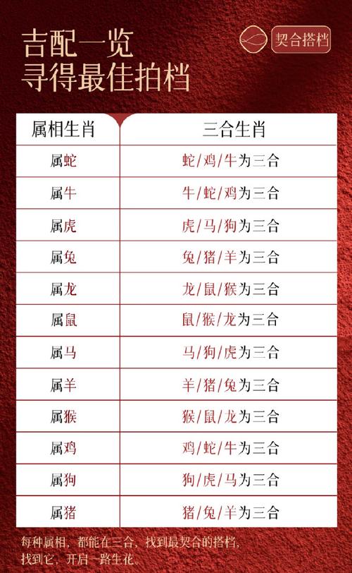 “千变万化”指什么生肖,千变万化指什么生肖标准答案