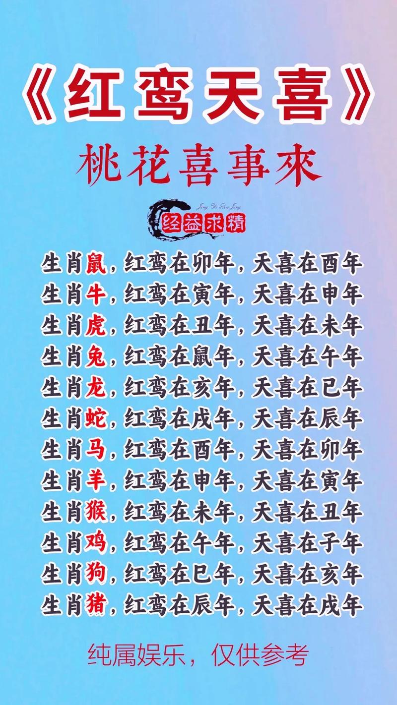 波字是什么生肖,波打一生肖是什么动物