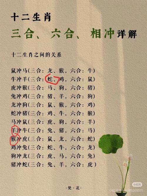 今期生肖西南方是什么生肖,今期生肖旺西南明月依旧照乾坤是什么生肖