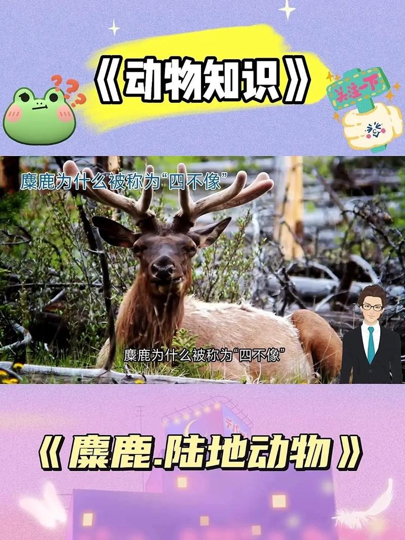 一四数来看今期,一四数来看今期代表什么动物