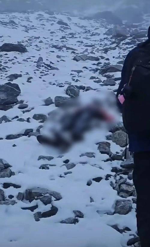 失联飞行员遗体被寻获,失联飞行员遗体被寻获视频