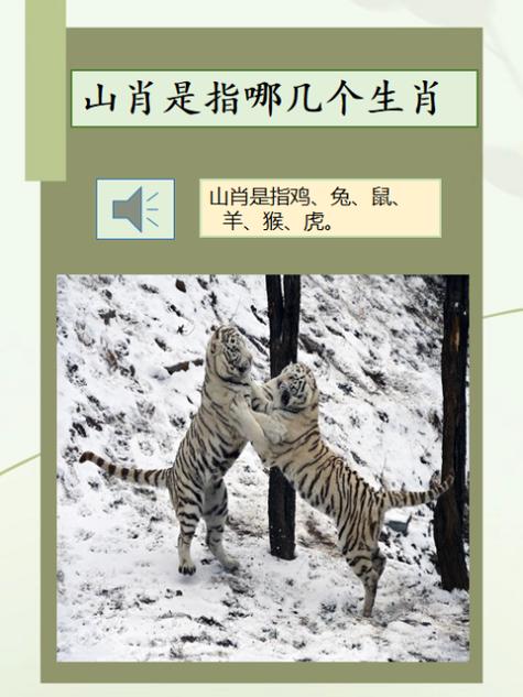 打一生肖动物图,打一生肖指什么意思