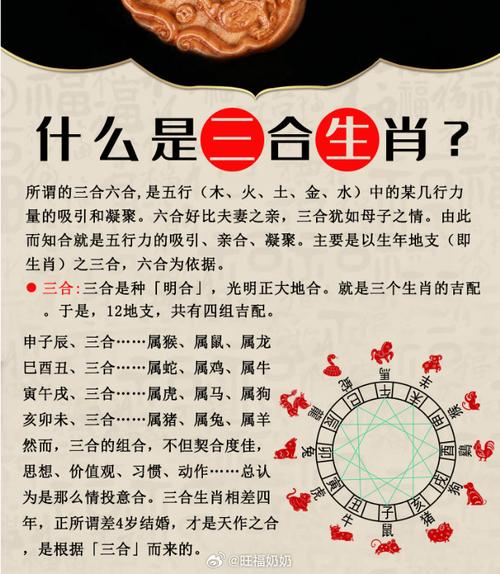 今期生肖二三来代表什么生肖,今期生肖二三来指什么生肖或动物