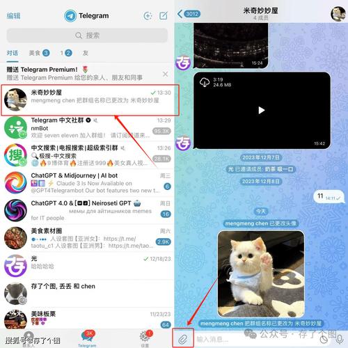 www.telegram.cn的简单介绍