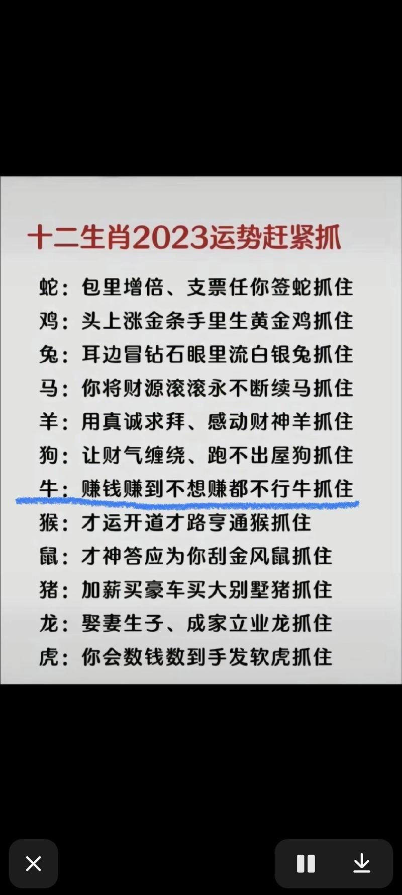 今期生肖土在头打一最佳生肖,今期生肖土在头梅花香自苦寒来打一生肖