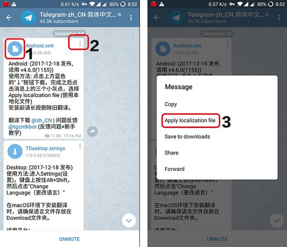 telegeram另一个版本,telegeram内置代理版本