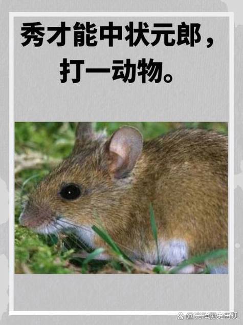 关于“能平安步上青云，未必安行皆白足”打一动物生肖的信息