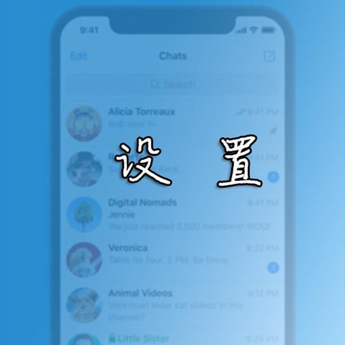 网页版纸飞机怎么登录,纸飞机app在国内怎么登录