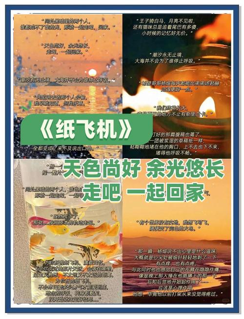 纸飞机小说在线观看,纸飞机小说正版免费阅读全文