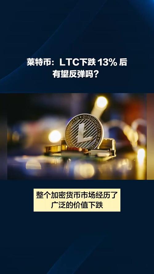 莱特币是什么股票,莱特币是什么股票板块