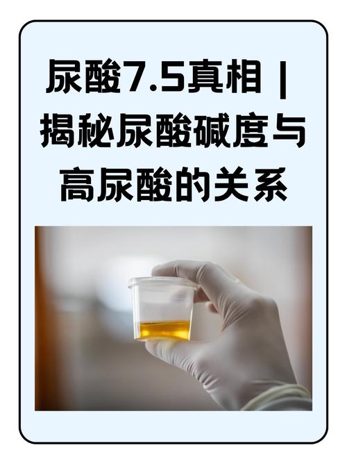 什么是尿酸碱度,什么是尿酸碱度80