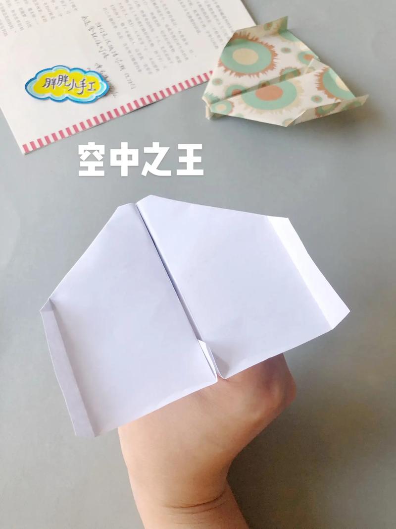 纸飞机王第一名,滑翔纸飞机王第一名