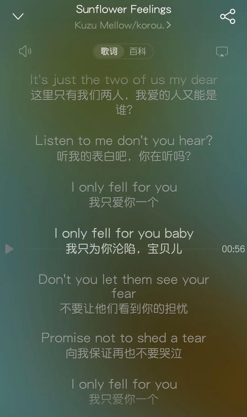 lonely中文歌词翻译,lonely的中文歌词翻译