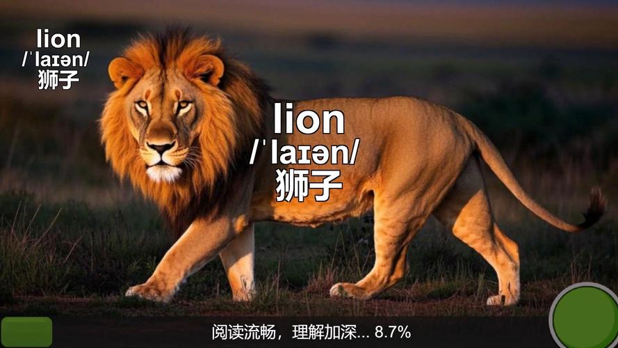 lion发音,lion发音英语