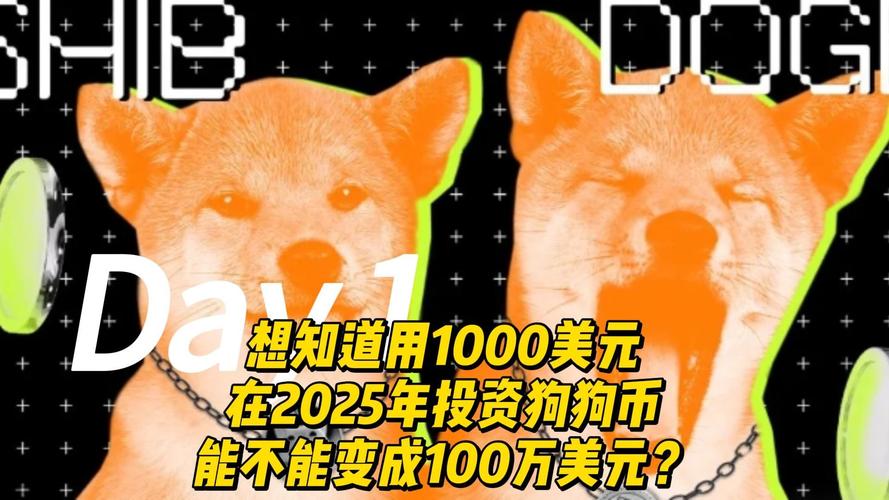 狗狗币实时行情美元,狗狗币美元实时行情非小号