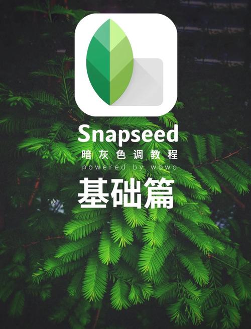 snapchat中文怎么调,snapchat在哪里改中文语言