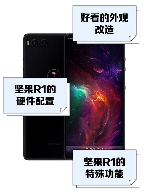 坚果网络加速器官网,坚果加速器nuts官网