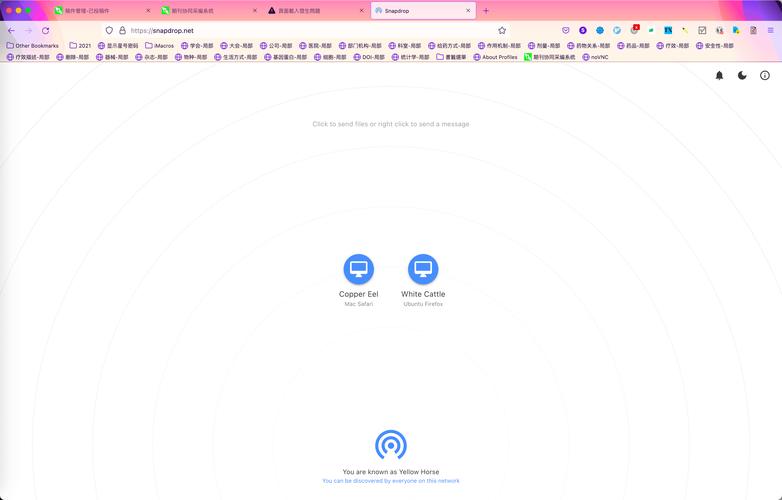 snapdrop网页版入口,snapdropnet网页版