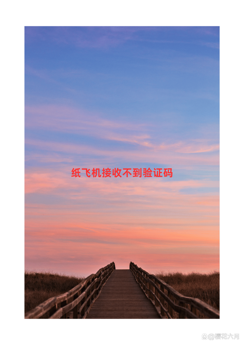 纸飞机验证码怎么接收,86手机号怎么注册飞机