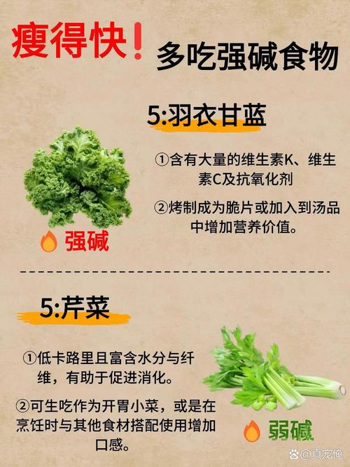 减肥加速器是什么,减肥加速器是什么样子的