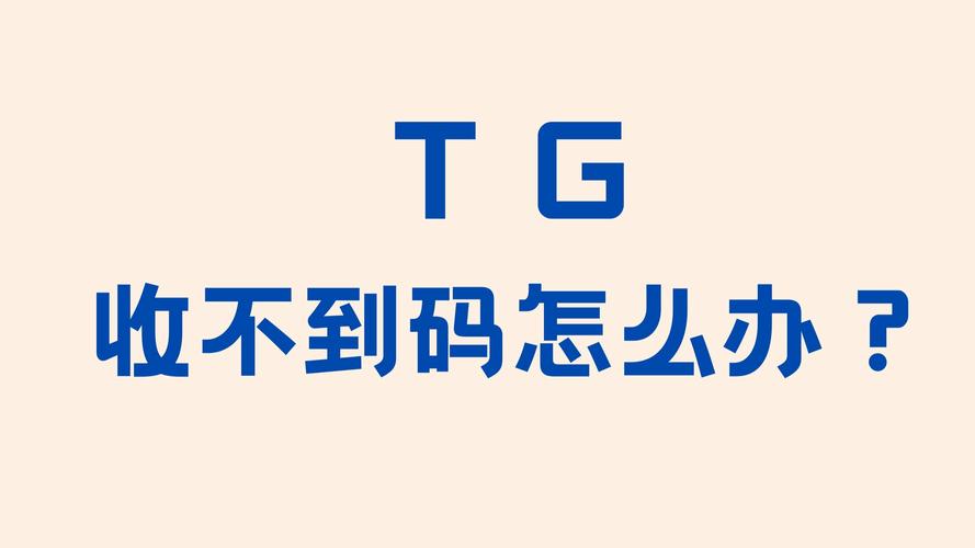 tg中文版,TG中文版内置代理