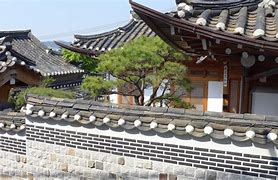 telegraphicspeech语言学(phonemic transcription语言学)