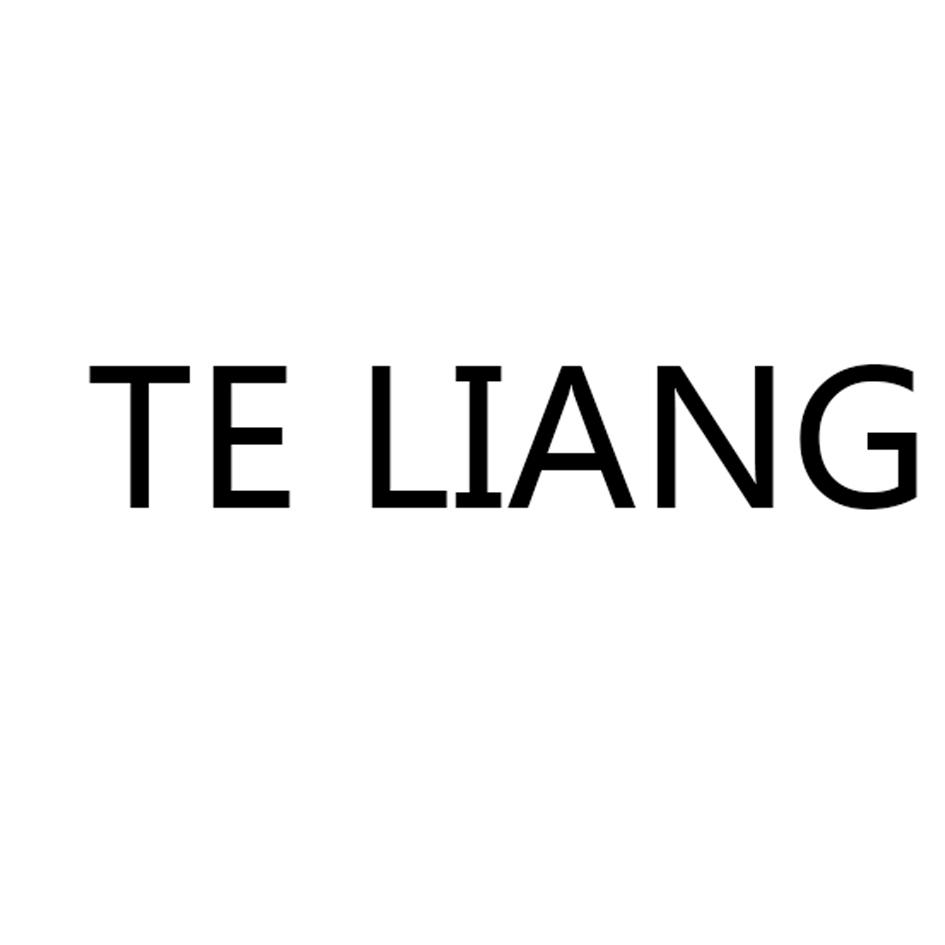 TE科技有限公司(特科技有限公司怎么样)