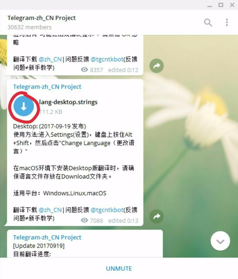telegeram裙(华为下载TELEGERAM)