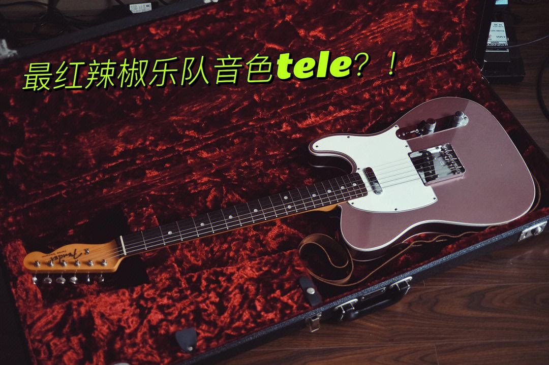 tele加速器(tele加速器下载安卓)
