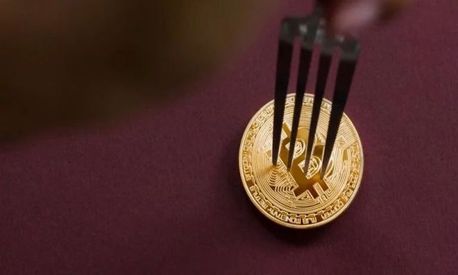 币圈最大的钱包(币圈最大的钱包是哪个)