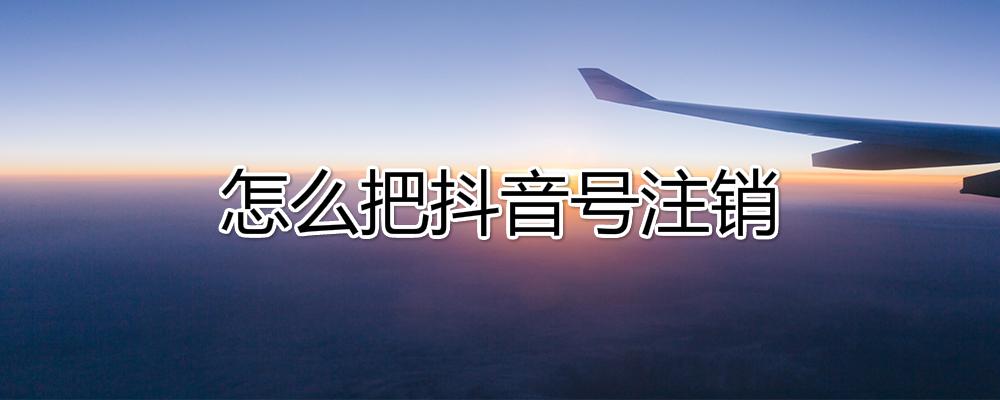 安卓飞机号怎么注销(安卓飞机怎么注销视频)