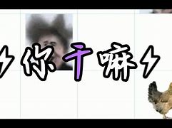 glsllocation干嘛的(legislation什么意思中文)