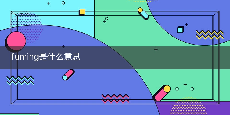 particles翻译(particulars翻译)