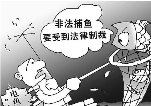 休闲捕鱼不能卖犯法吗(途游休闲捕鱼招财珠怎么卖)