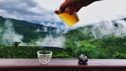 喜欢喝茶钓鱼的人性格怎么样(喜欢喝茶钓鱼的人性格怎么样呢)
