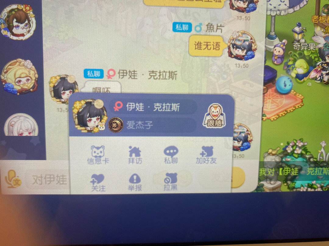 玩家什么意思(ml玩家什么意思)