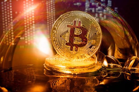 btc(btchdont)