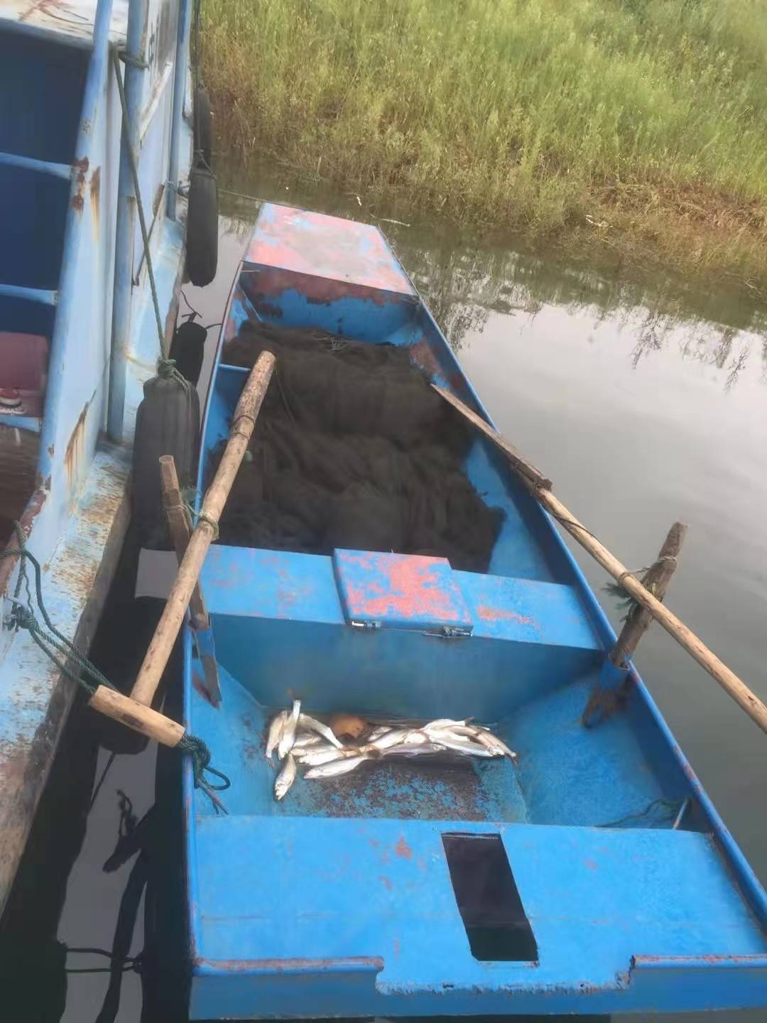 用网捕鱼违法吗?(用网捕鱼违法吗判几年)