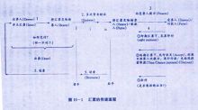 draft外贸术语(外贸术语大全中英文缩写)