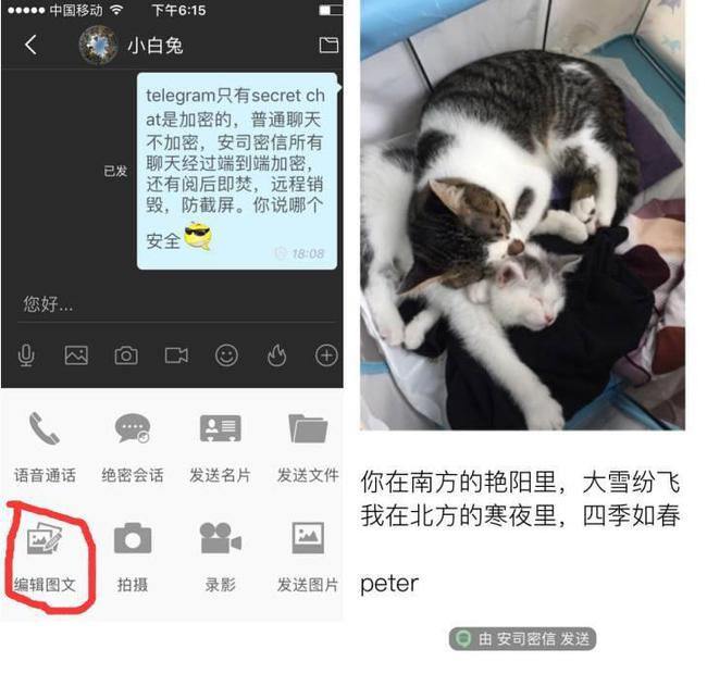 telegraph聊天软件中文版(telegraph聊天软件中文版苹果)