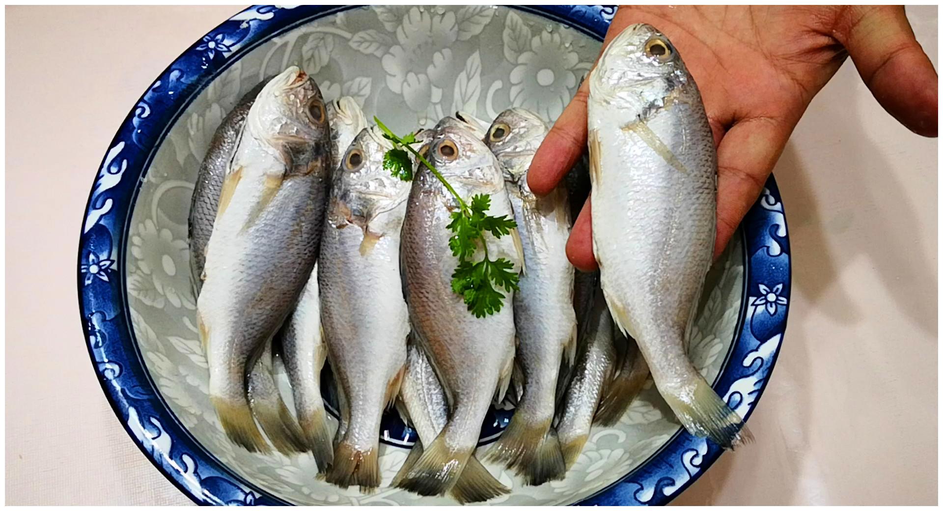 爱吃鱼的人有什么缺点(爱吃鱼的人有什么缺点吗)