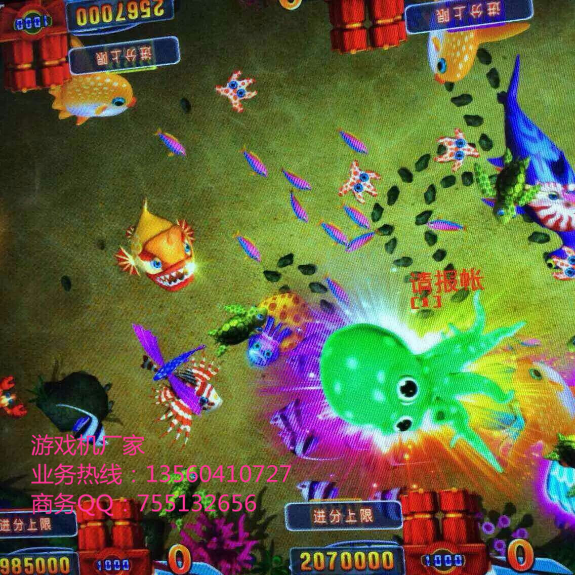能换现金的打鱼游戏(金币能换钱的打鱼平台)