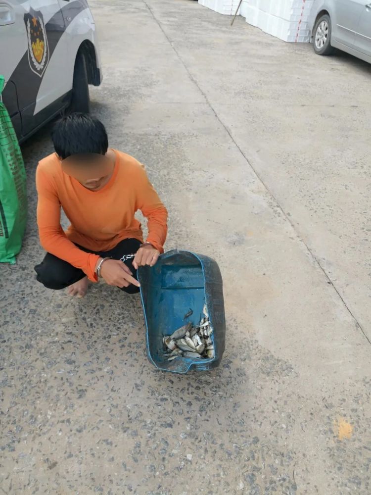 捕鱼犯法不(捕鱼犯不犯法)