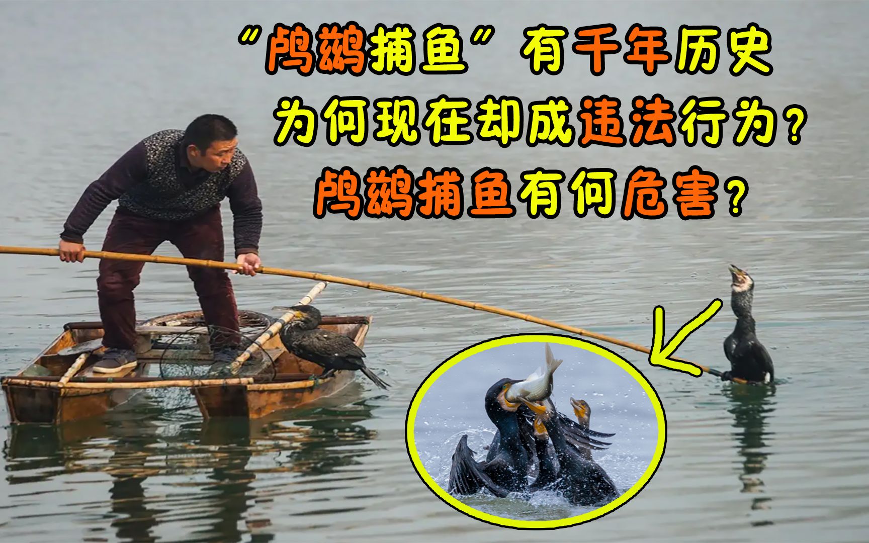捕鱼犯法不(捕鱼犯不犯法)